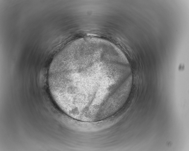 X0000093100030200710241230