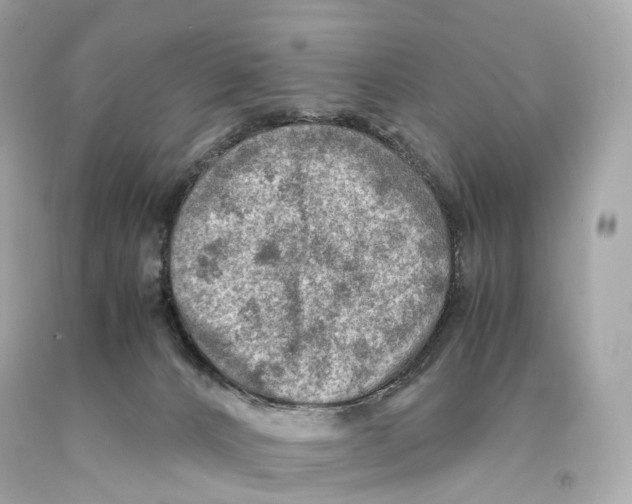 X0000093100032200710241230