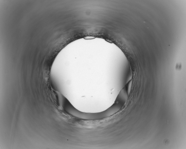 X0000093100033200710241230