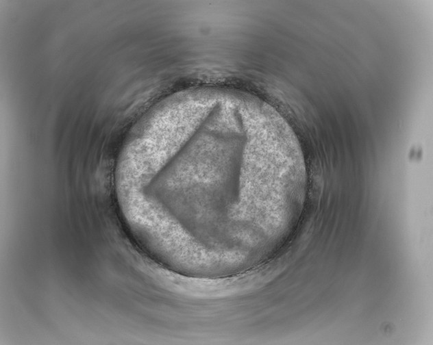 X0000093100034200710241230