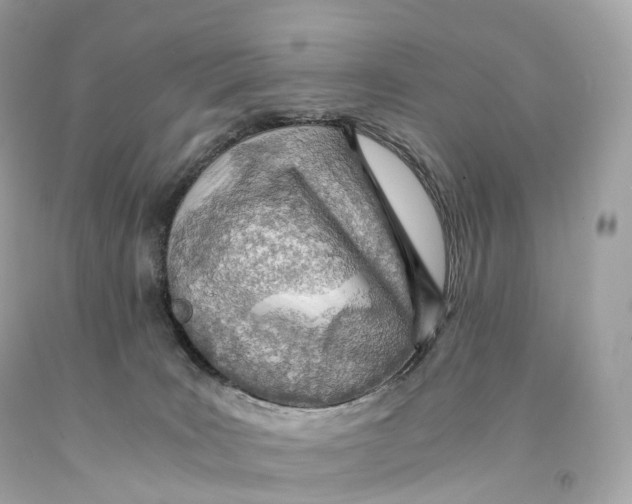 X0000093100035200710241230