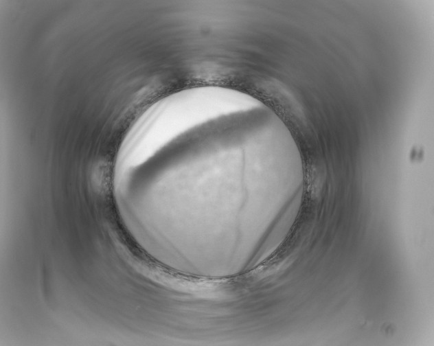 X0000093100036200710241230