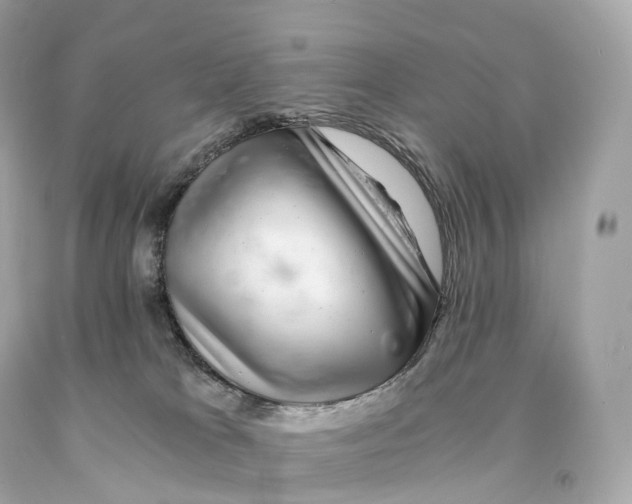 X0000093100037200710241230