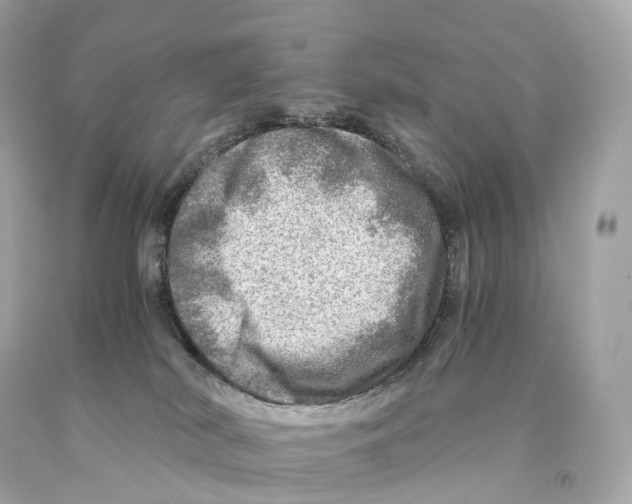 X0000093100038200710241230