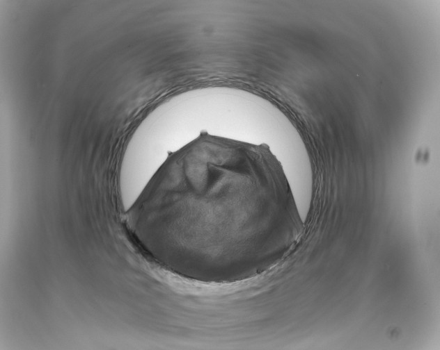 X0000093100039200710241230