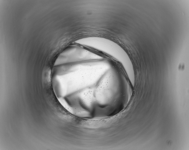 X0000093100041200710241230