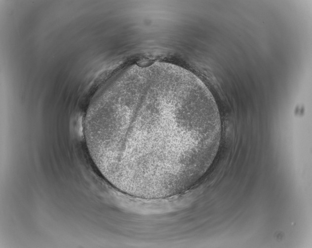 X0000093100042200710241230