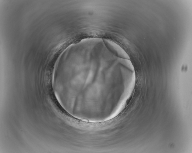 X0000093100043200710241230