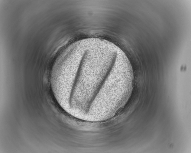 X0000093100044200710241230