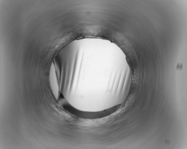 X0000093100045200710241230