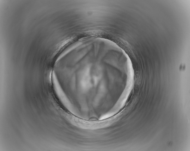 X0000093100047200710241230