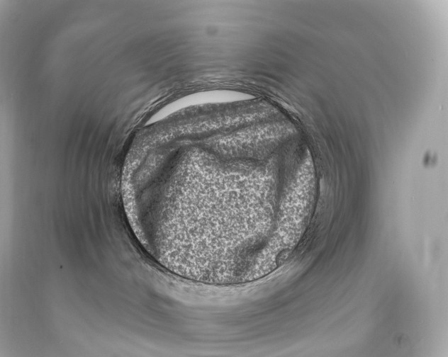 X0000093100048200710241230