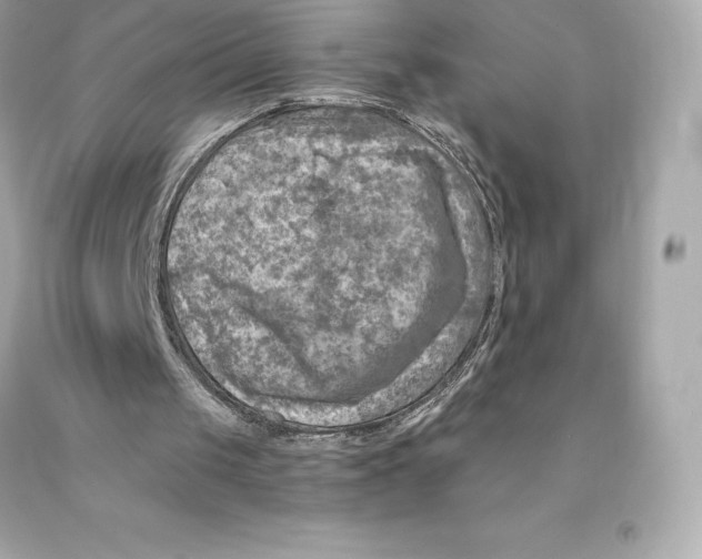 X0000093100049200710241229