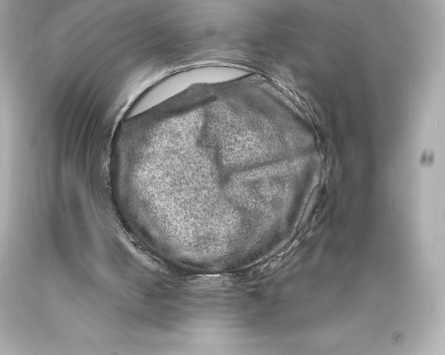 X0000093100050200710241229