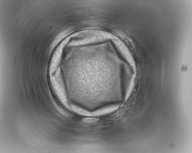 X0000093100051200710241229