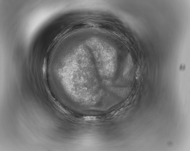 X0000093100052200710241229