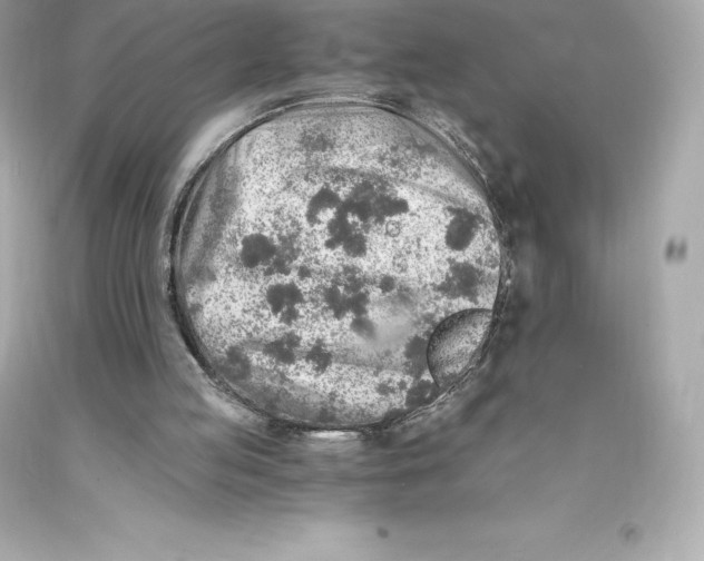 X0000093100053200710241229