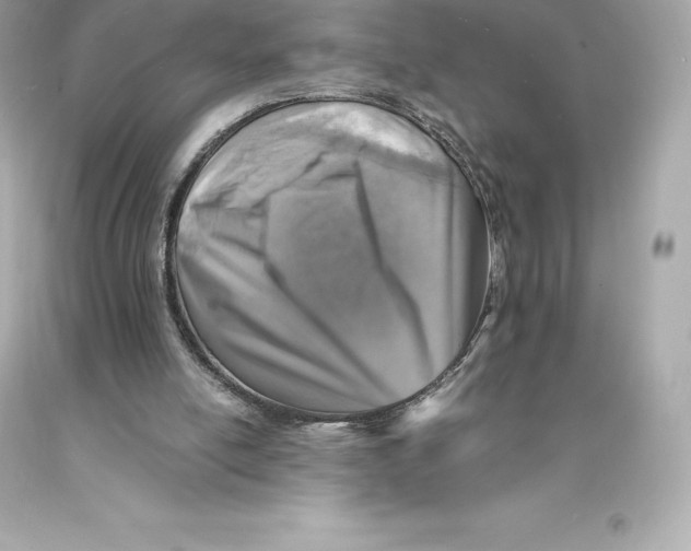 X0000093100054200710241229