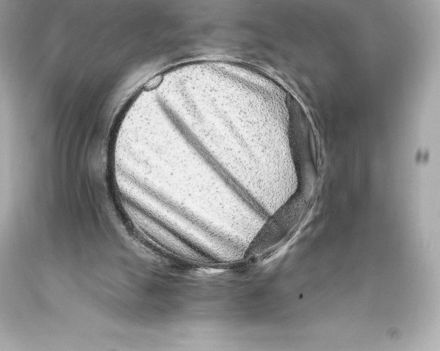 X0000093100055200710241229