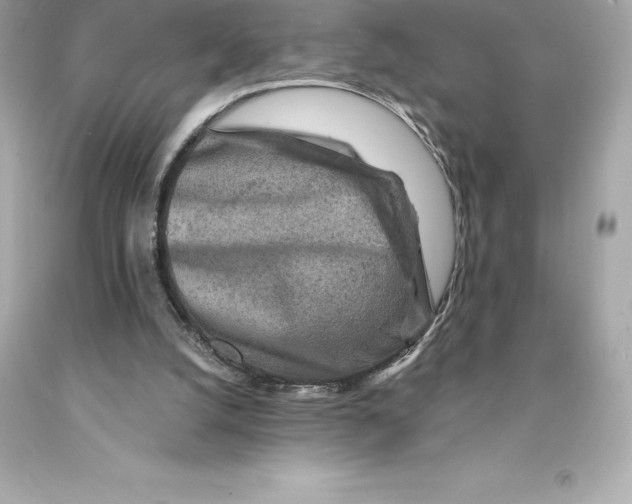 X0000093100056200710241229