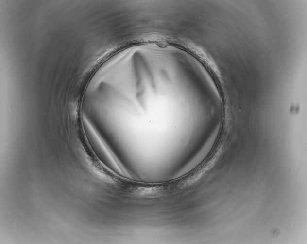 X0000093100057200710241229