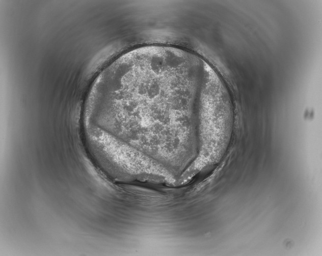 X0000093100058200710241229