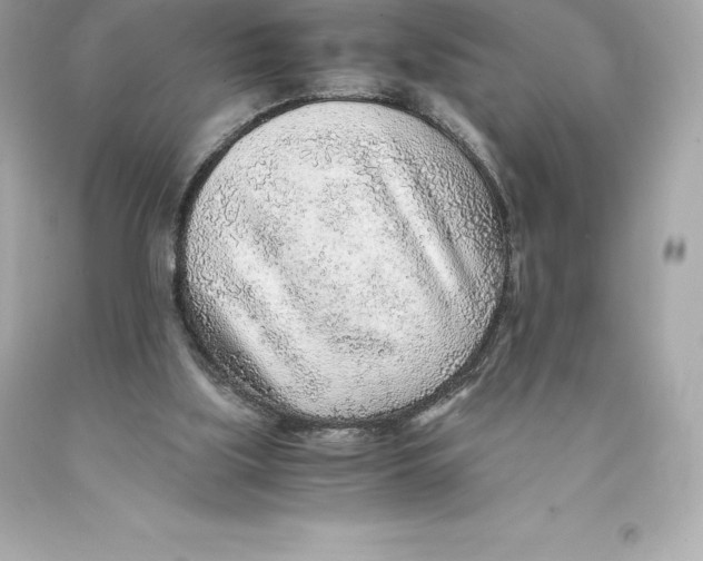 X0000093100059200710241229