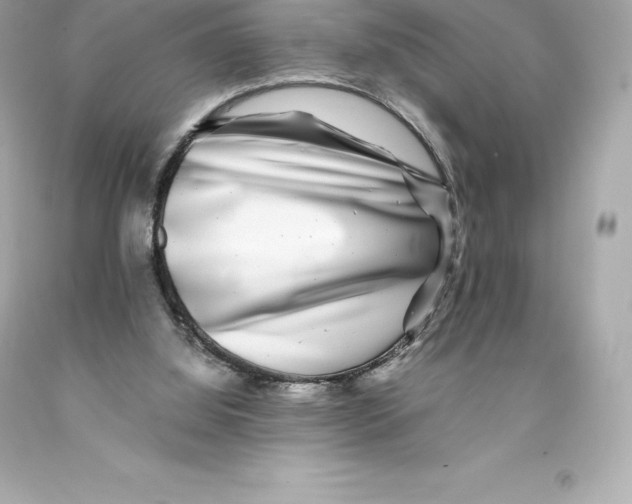 X0000093100060200710241229