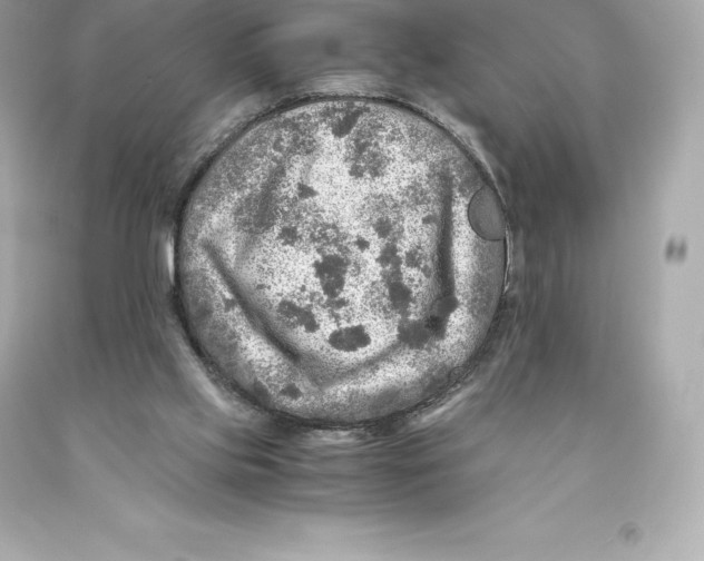 X0000093100061200710241229