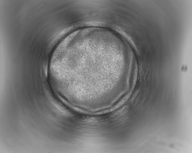 X0000093100062200710241229