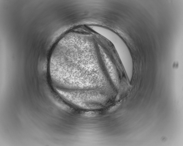 X0000093100064200710241229