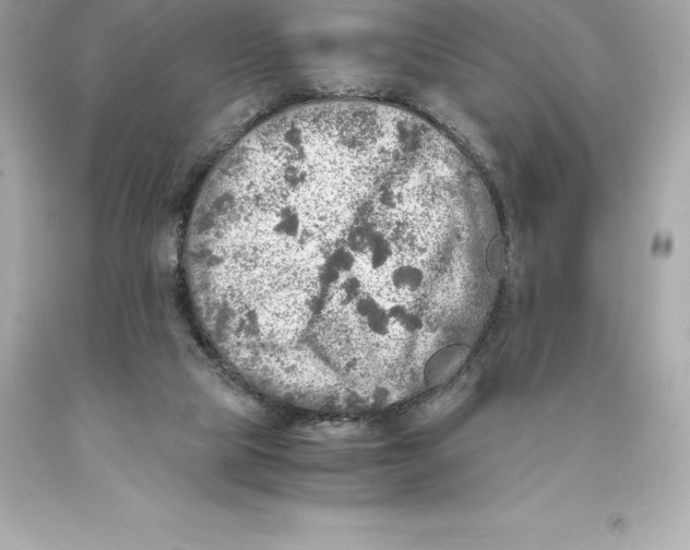 X0000093100065200710241229