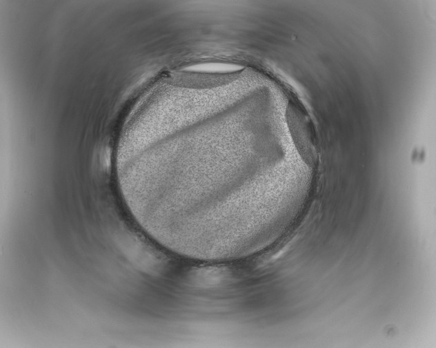 X0000093100067200710241229