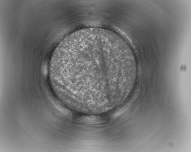 X0000093100069200710241229