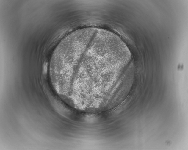 X0000093100070200710241229