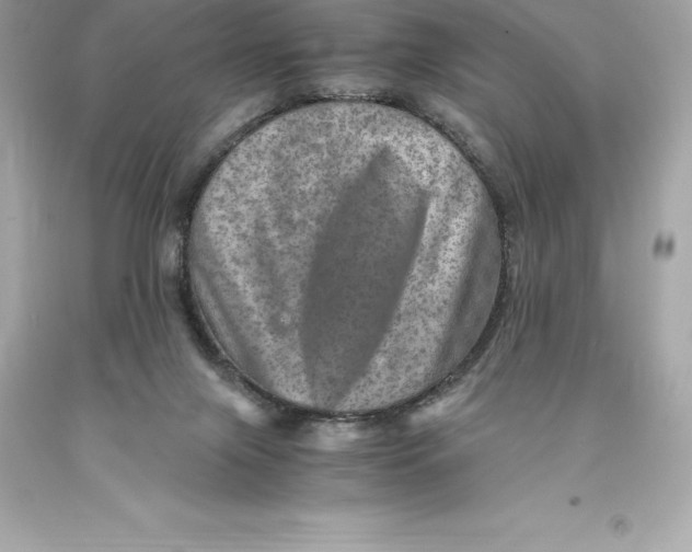 X0000093100071200710241229