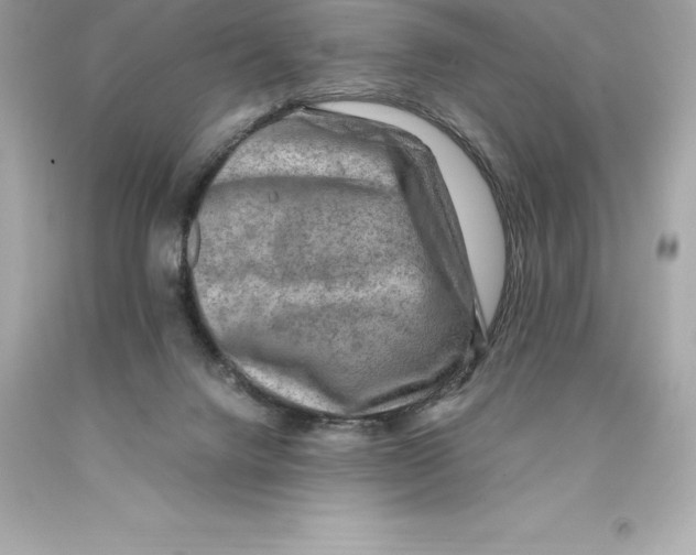 X0000093100072200710241229