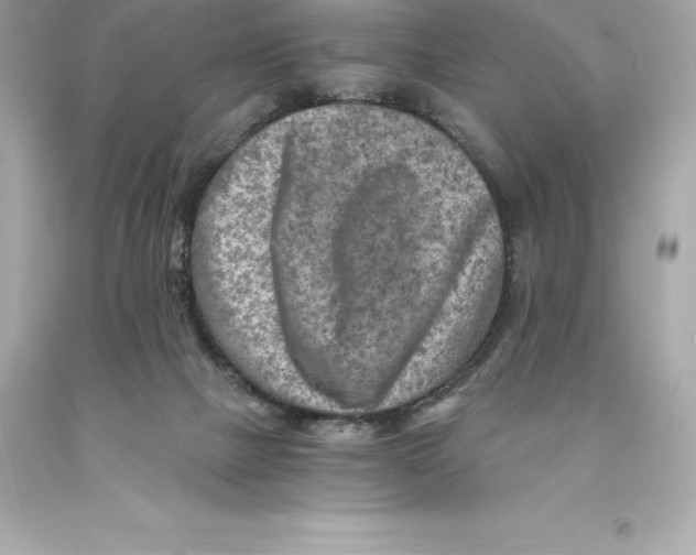 X0000093100073200710241229