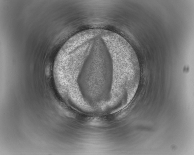 X0000093100074200710241229