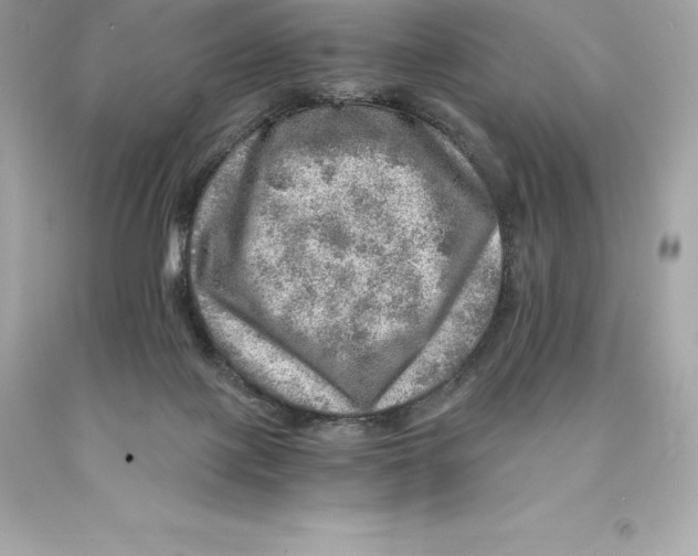 X0000093100075200710241229