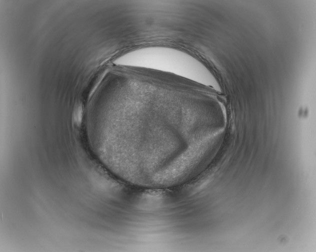 X0000093100076200710241229