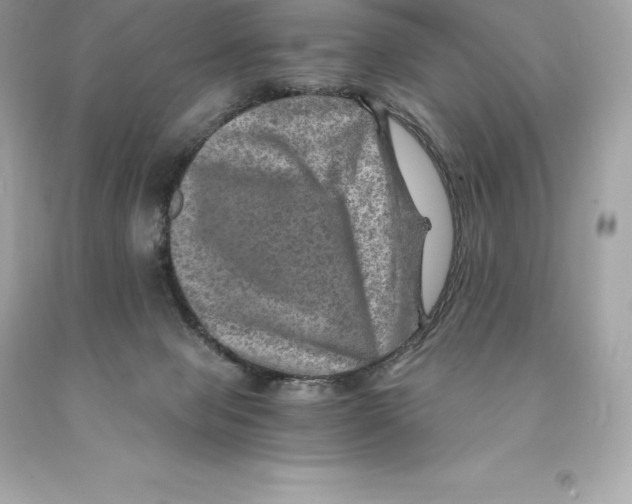 X0000093100077200710241229