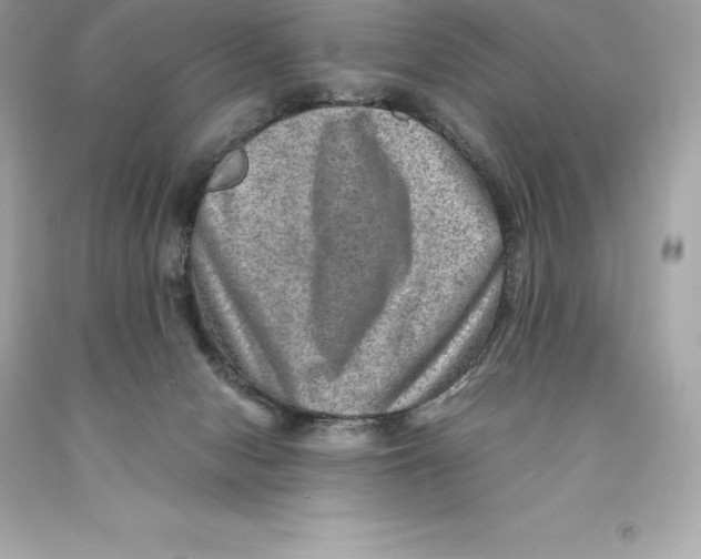 X0000093100078200710241229