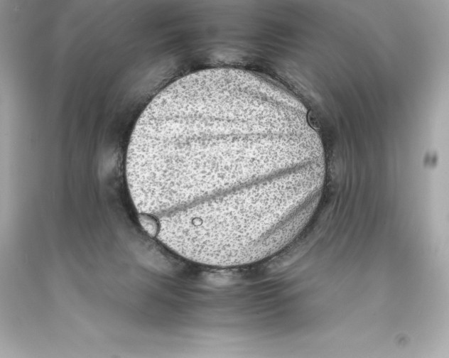 X0000093100079200710241229