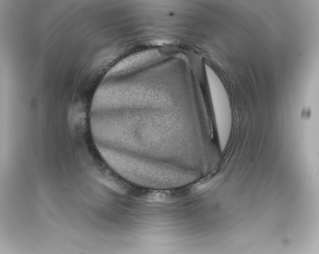 X0000093100080200710241229