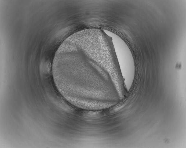 X0000093100081200710241229