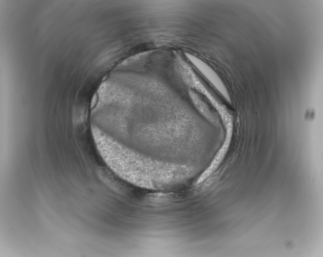 X0000093100082200710241230