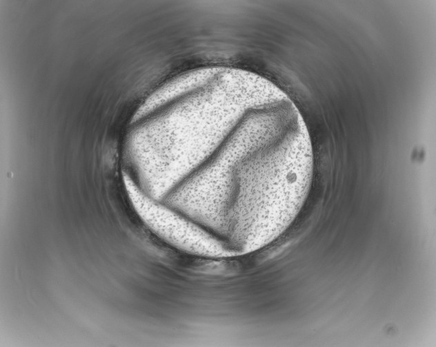 X0000093100083200710241230