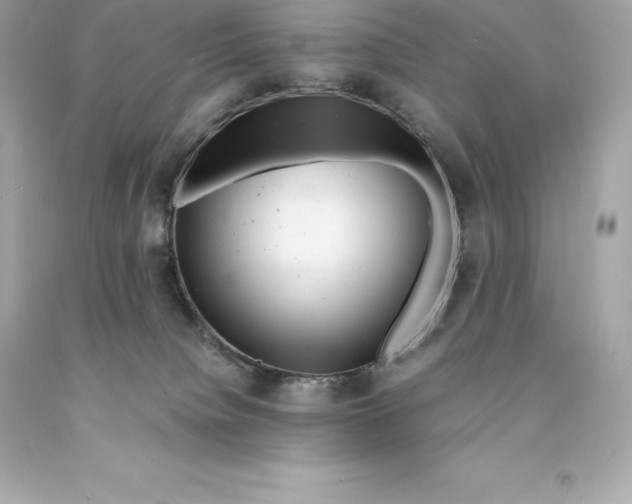 X0000093100084200710241230