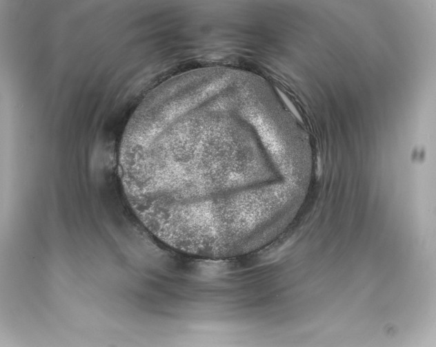 X0000093100085200710241230